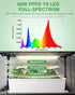 PYY Mini Indoor Greenhouse with Grow Light - 5 Tier Gardening Shelves Small Portable Outdoor Plant Green House Cabinet with Wheels, 600D Oxford Tent Cover, 60W PPFD T8 LED, Timer, Thermometer